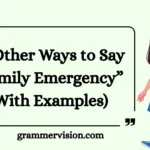 Other Ways to Say “Family Emergency”