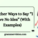 Other Ways to Say “I Have No Idea”