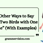 Other Ways to Say “Kill Two Birds with One Stone”