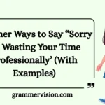Other Ways to Say “Sorry for Wasting Your Time Professionally