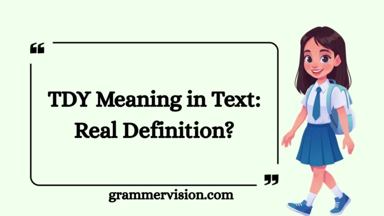 TDY Meaning in Text: Real Definition?