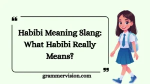 Habibi Meaning Slang: What Habibi Really Means?