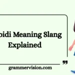 Skibidi Meaning Slang Explained