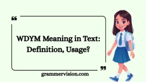 WDYM Meaning in Text: Definition, Usage?