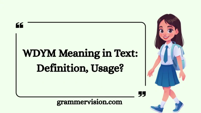 WDYM Meaning in Text: Definition, Usage?