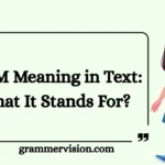 WTM Meaning in Text: What It Stands For?