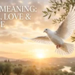 Dove Meaning The Hidden Spiritual & Symbolic Messages