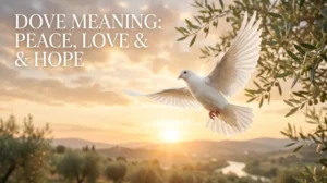 Dove Meaning The Hidden Spiritual & Symbolic Messages